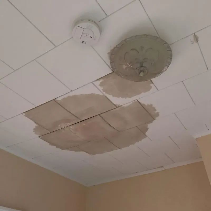 Ceiling Water Damage Repair in Delevan, NY