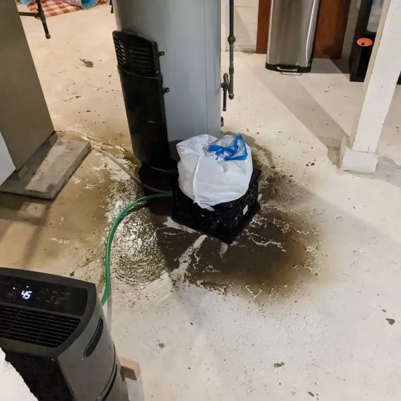 Sewage Backup Cleanup Service in Delevan, NY